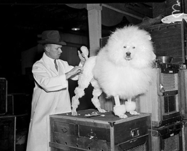 screen-shot-2022-02-07-at-10.10.19-pm